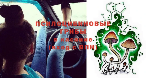 ECSTASY Аркадак