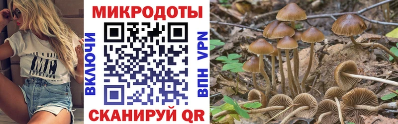 даркнет сайт  Нижнеудинск  Галлюциногенные грибы Psilocybine cubensis 